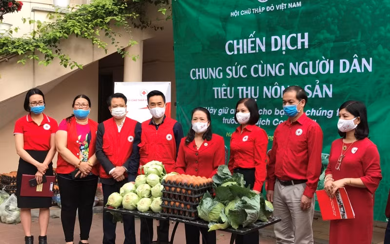 T.Ư Hội CTĐ Việt Nam phát động chiến dịch.