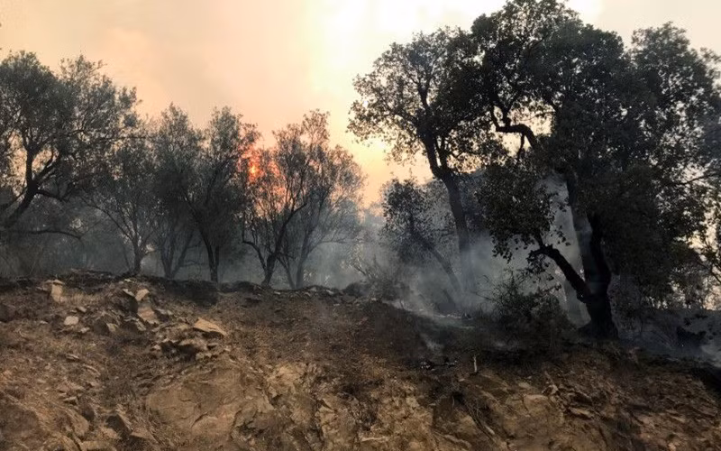 Khói bốc lên từ đám cháy rừng ở tỉnh Tizi Ouzou, phía đông thủ đô Algiers, ngày 10/8. (Ảnh: Reuters)