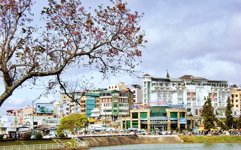 Ảnh trong bài: Hài hòa giữa bảo tồn và phát triển là bài toán cần cân nhắc thận trọng để Đà Lạt phát triển bền vững.