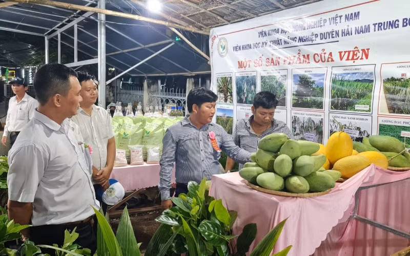 Bình Định: Khai mạc Ngày hội Nông sản huyện Hoài Ân lần thứ I năm 2022 -0