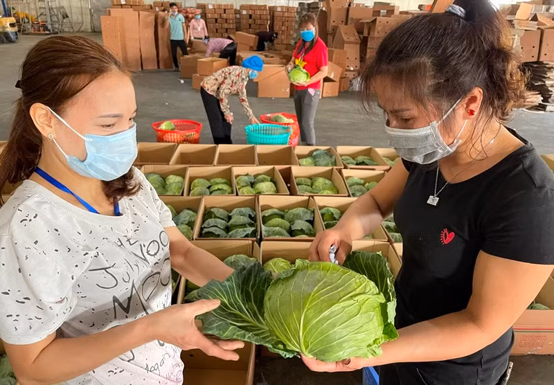 Hải Dương hỗ trợ người lao động bị ảnh hưởng dịch Covid-19 -0