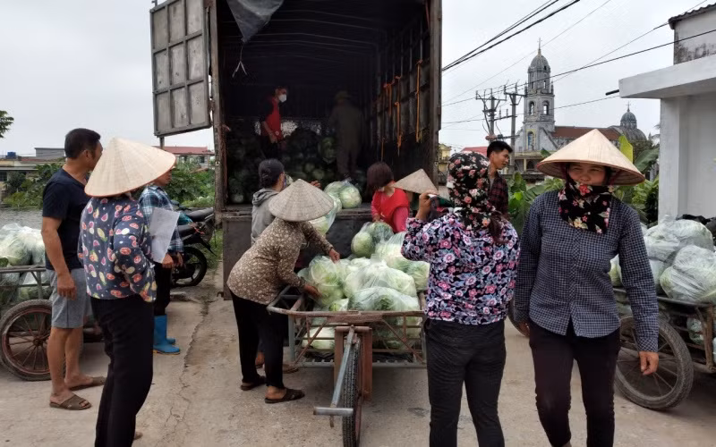 Tiêu thụ hàng chục tấn nông sản cho bà con nông dân Thái Bình -0