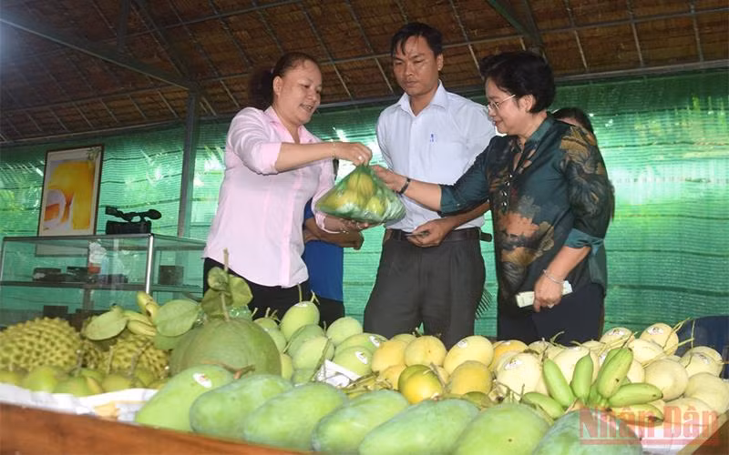 Trưng bày mặt hàng xoài tại Thuận Tân hội quán, thành phố Cao Lãnh, tỉnh Đồng Tháp