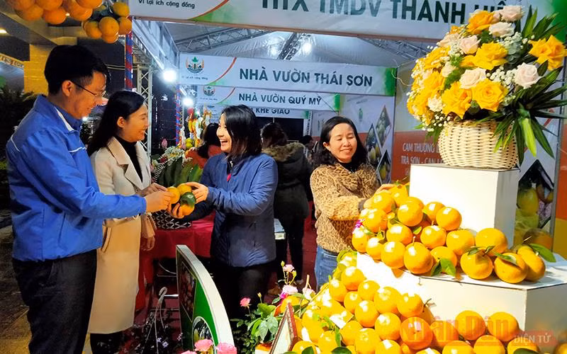 Khai mạc Lễ hội Cam và các sản phẩm nông nghiệp Hà Tĩnh lần thứ tư
