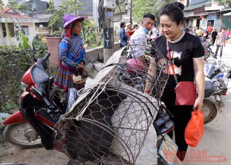 Lôi cuốn Chợ phiên Cốc Pài -0