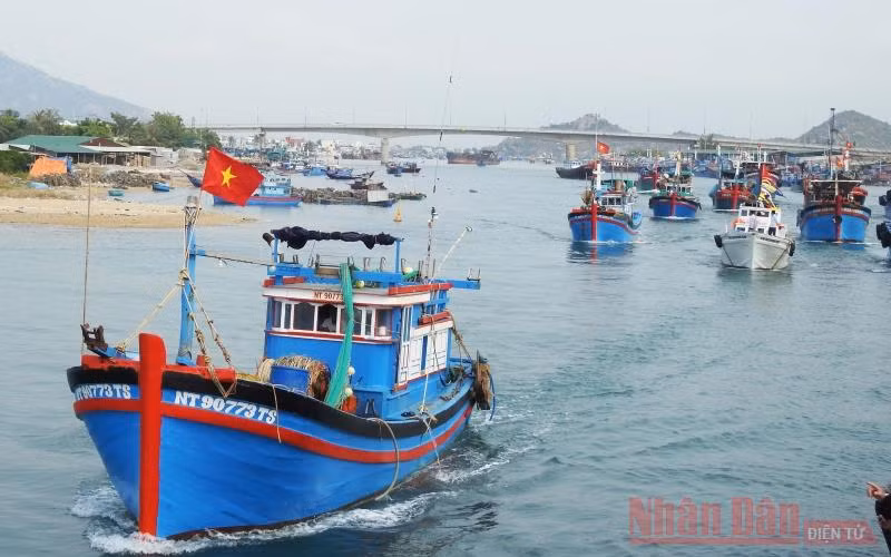 Tàu thuyền ở Ninh Thuận được thông báo và hướng dẫn di chuyển đến nơi tránh trú an toàn, tránh bão số 9. Ảnh: NGUYỄN TRUNG.