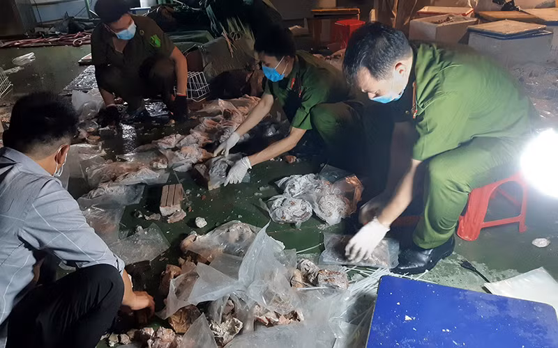 Ma túy được tội phạm cất giấu bên trong dạ dày lợn đông lạnh.