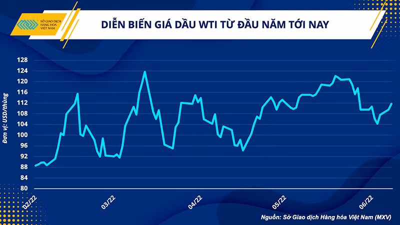 Liệu chính sách áp giá trần với dầu của Nga có giải tỏa được cơn khát dầu cho thế giới? -0