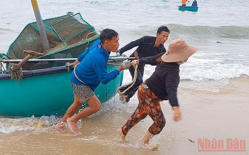 Người dân xã An Hòa Hải huyện Tuy An, Phú Yên đang nỗ lực cứu vớt tài sản còn sót lại sau cơn lốc xoáy bất thường. 