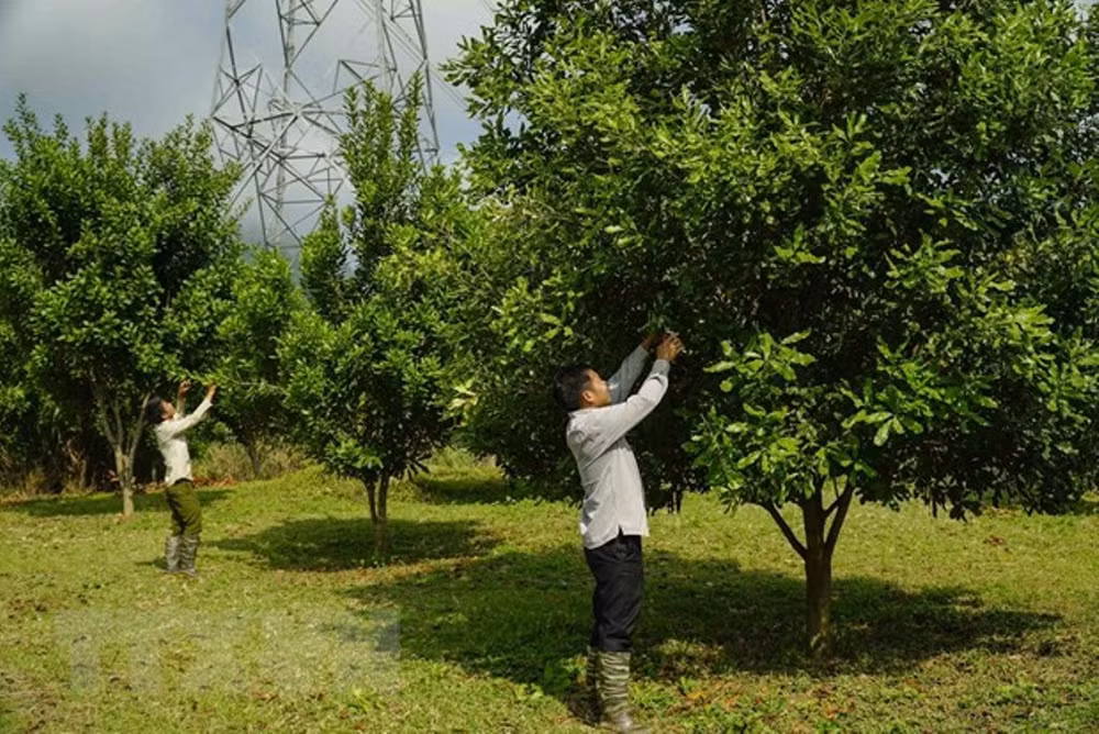 Điện Biên vượt qua vết thương chiến tranh, khoác lên mình diện mạo mới -0