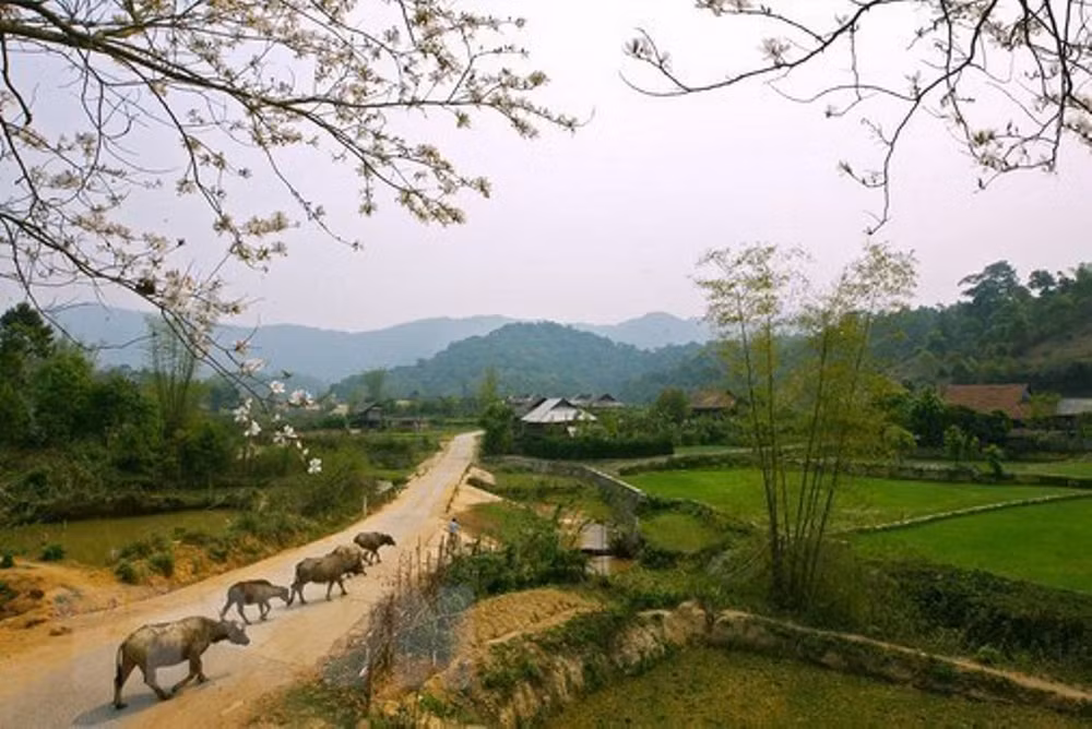 Điện Biên vượt qua vết thương chiến tranh, khoác lên mình diện mạo mới -0