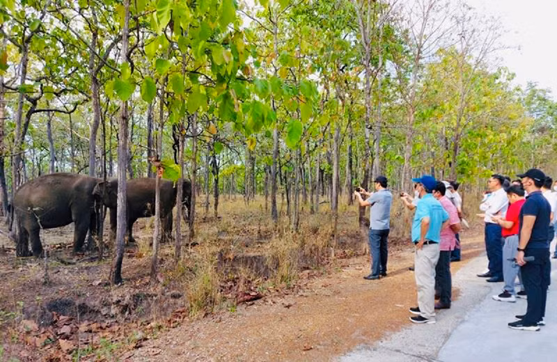 Tăng cường kết nối du lịch giữa Đắk Lắk và Khánh Hòa -0