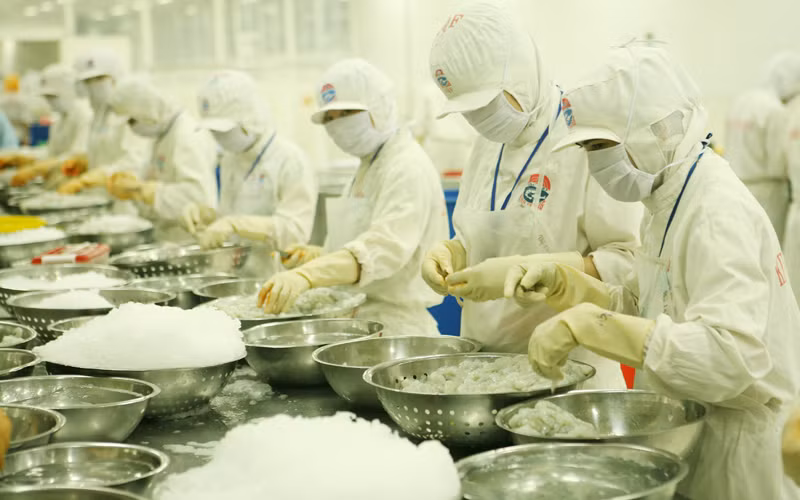Thủy sản là một trong những mặt hàng đạt giá trị xuất khẩu cao trong 4 tháng đầu năm 2022. Ảnh: TRẦN TUẤN