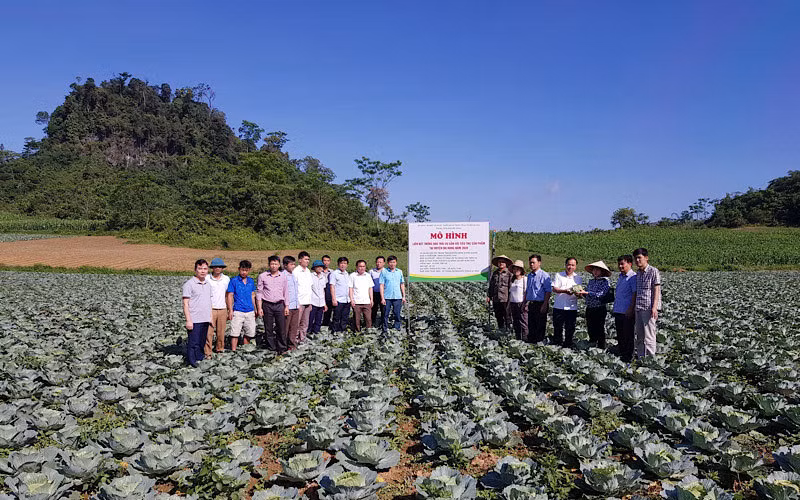 Chuyển hướng đào tạo nghề lao động nông thôn ở Tuyên Quang -0