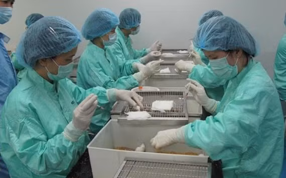 Đầu năm 2021, vaccine ngừa Covid-19 có thể thử nghiệm trên người