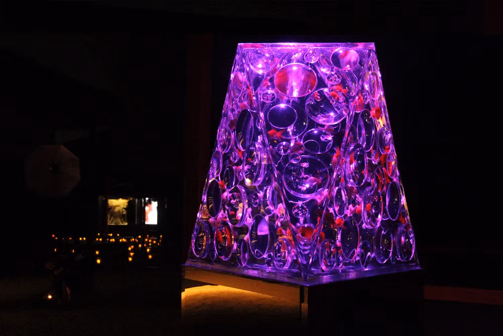 Huyền bí sắc màu Art Aquarium ở thủ đô Tokyo -1