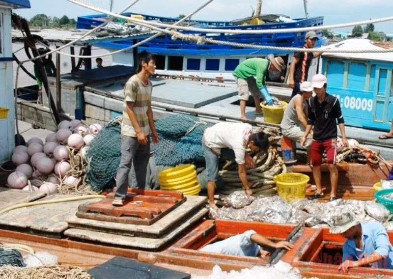 Ngư dân vùng biển huyện Đông Hải (Bạc Liêu). 