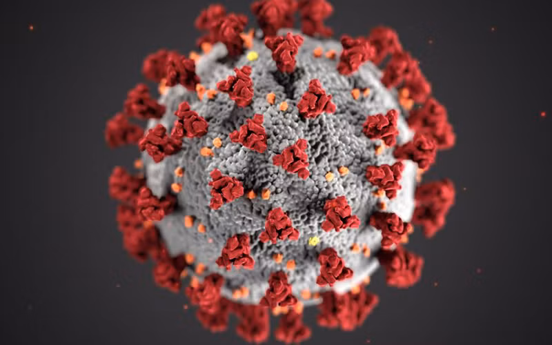 Virus Corona. (Ảnh minh họa: CDC)
