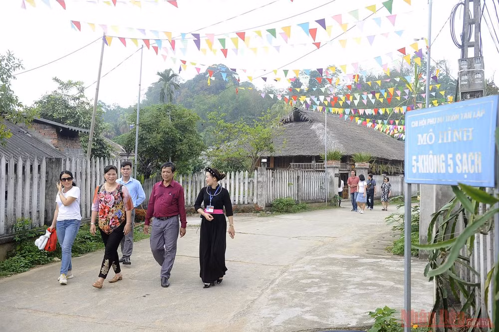 Về Tân Trào mùa hoa lim vang -1