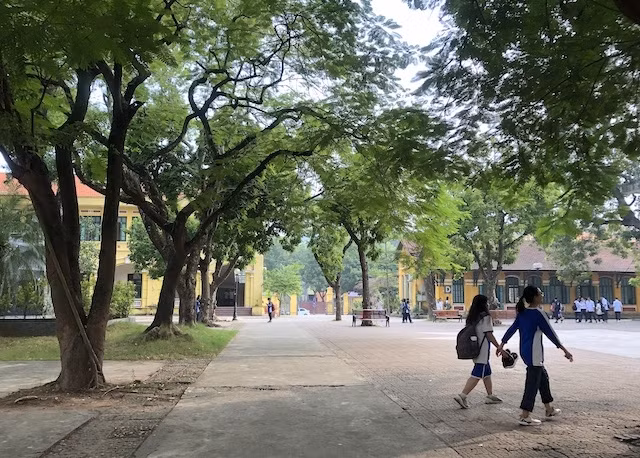 Trong khuôn viên Trường THPT Chu Văn An, Hà Nội (Ảnh: THUỲ LINH)
