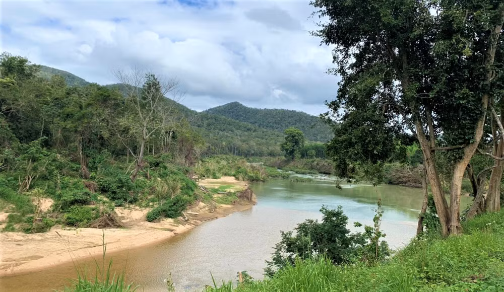Nỗ lực giữ “lá phổi” xanh cho Tây Nguyên -0