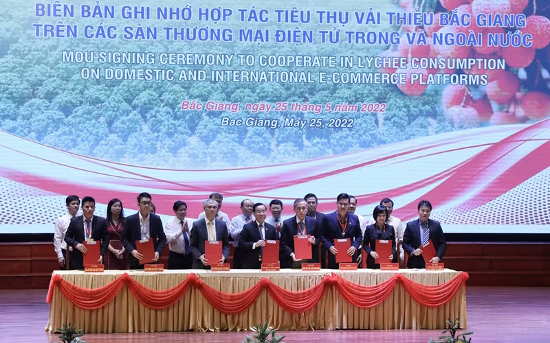 Ký kết hợp tác tiêu thụ vải thiều năm 2022.