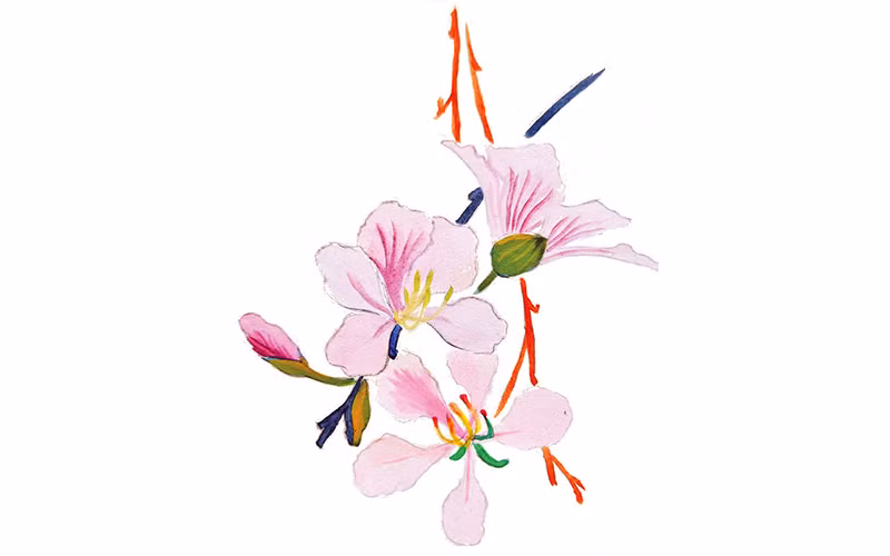 Người đi chẳng nói