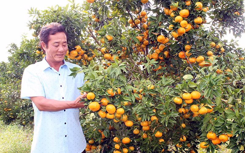 Bình Dương phát triển nông nghiệp công nghệ cao -0