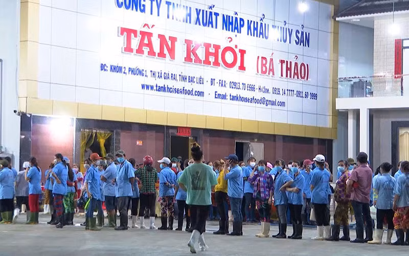 Công ty TNHH Xuất nhập khẩu thủy sản Tấn Khởi, thị xã Giá Rai, Bạc Liêu giải quyết công ăn việc làm ổn định cho hàng nghìn lao động nghèo địa phương.