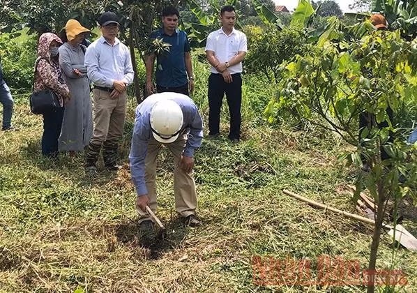 Khởi công khai quật tại di chỉ khảo cổ Vườn Chuối đợt 1-2020.