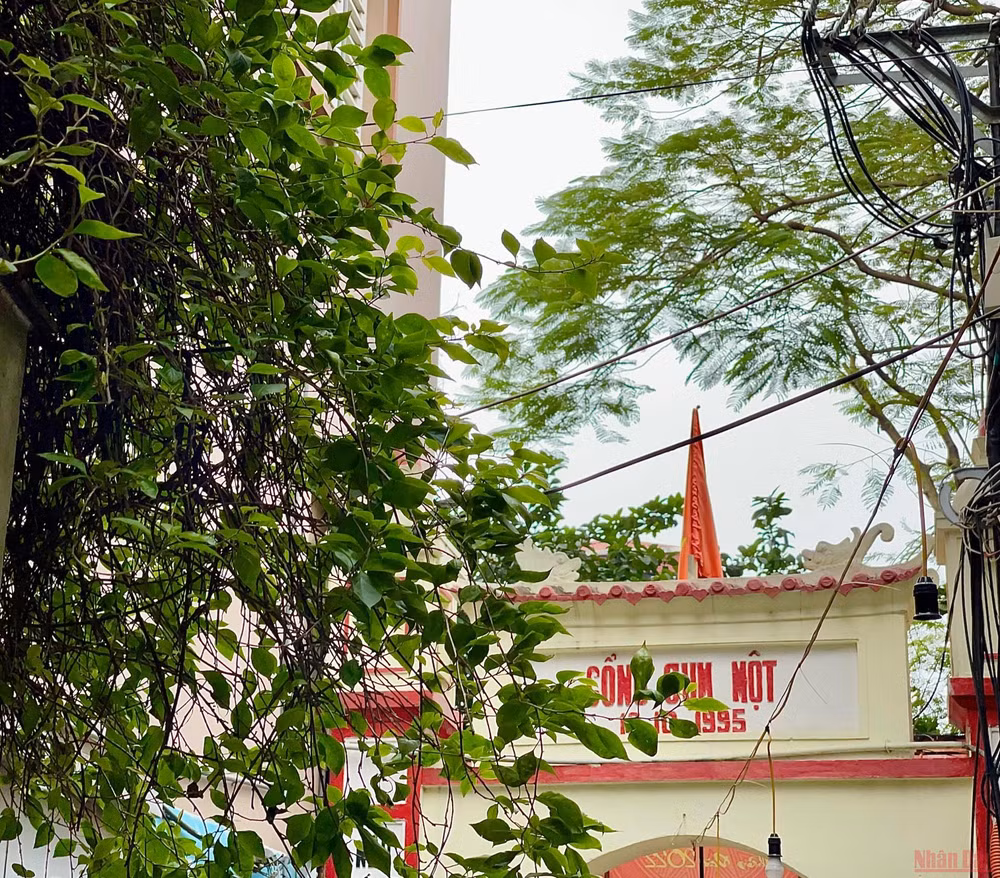 21conglang_ThuyKHue-1646065259180.jpeg