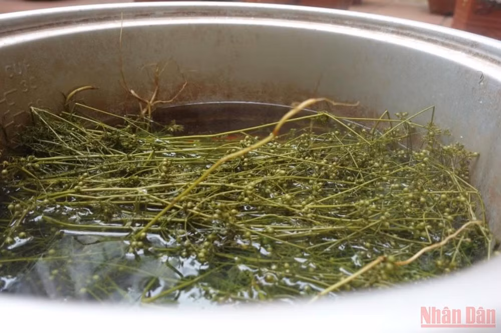 Mùi của Tết -0