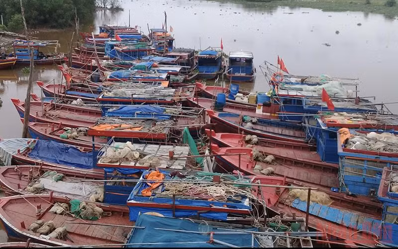 Nhiều tàu, thuyền ở Thái Bình đã vào nơi neo đậu an toàn.