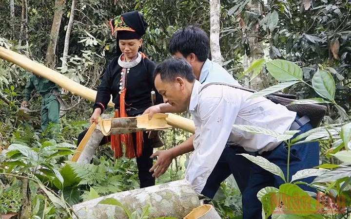 Cán bộ người Dao ở bản Vàng Ngần, xã Suối Quyền, huyện Văn Chấn, Yên Bái, cùng người dân sản xuất, phát triển kinh tế ở địa phương (Ảnh minh họa: Thanh Sơn).