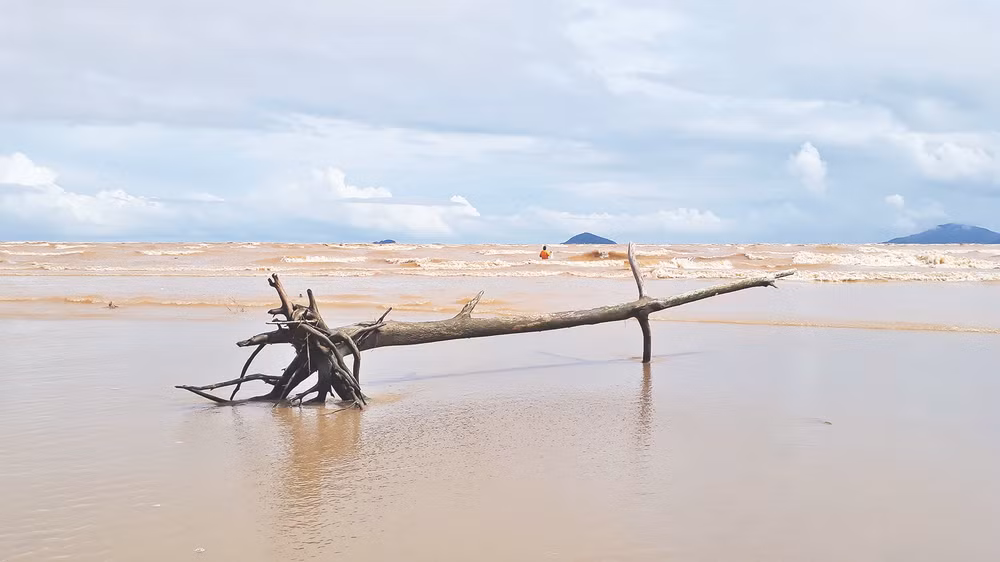 Khi mùa lũ về.