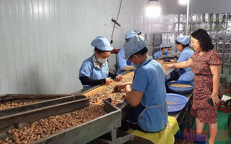 Nhiều lĩnh vực kinh tế Đắk Nông đang phục hồi sau đại dịch Covid-19.