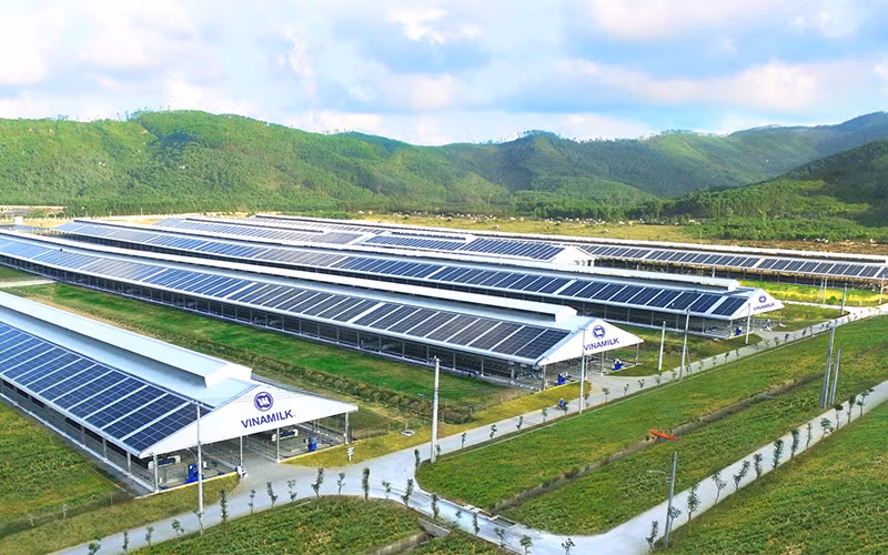 Vinamilk đứng đầu trong lĩnh vực Hàng tiêu dùng trong Top 50 niêm yết của Forbes -0