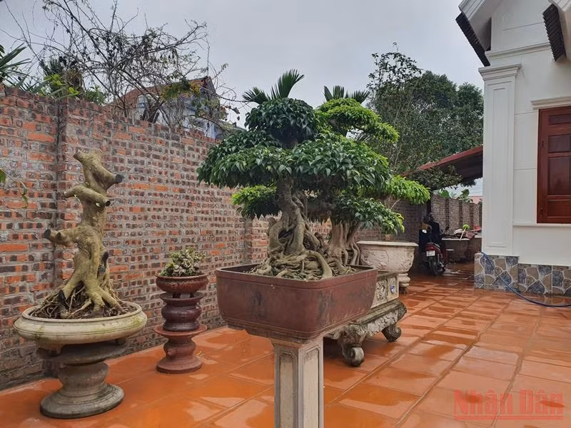 Cần xử lý dứt điểm sai phạm ở Ngọc Thiện -0