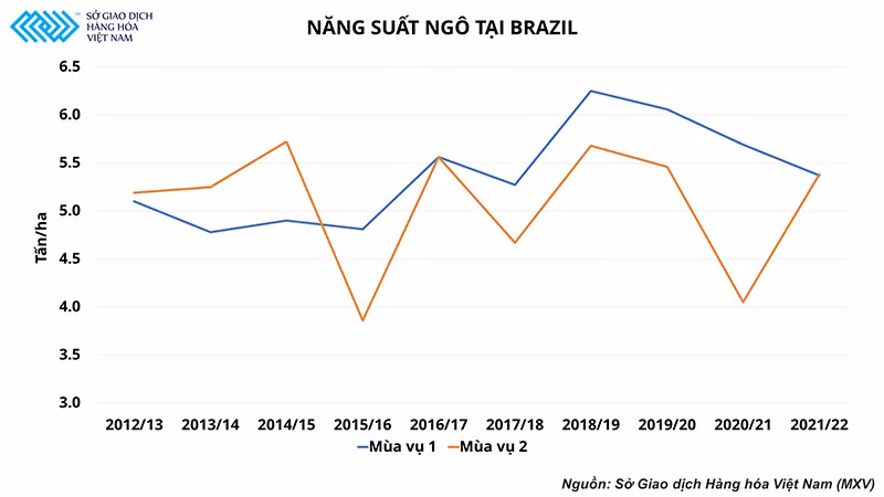 Rủi ro thời tiết đối với vụ ngô thứ 2 của Brazil đang là nỗi lo ngại của ngành chăn nuôi nước ta -0