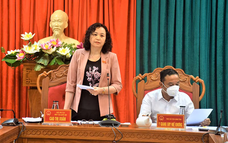 Phó Chủ tịch Hội đồng Dân tộc của Quốc hội Cao Thị Xuân phát biểu tại buổi làm việc. 