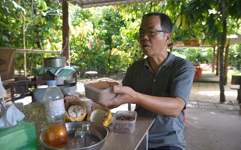Ông Mười Cương thực hiện quy trình chế biến ca-cao cho khách tham quan.