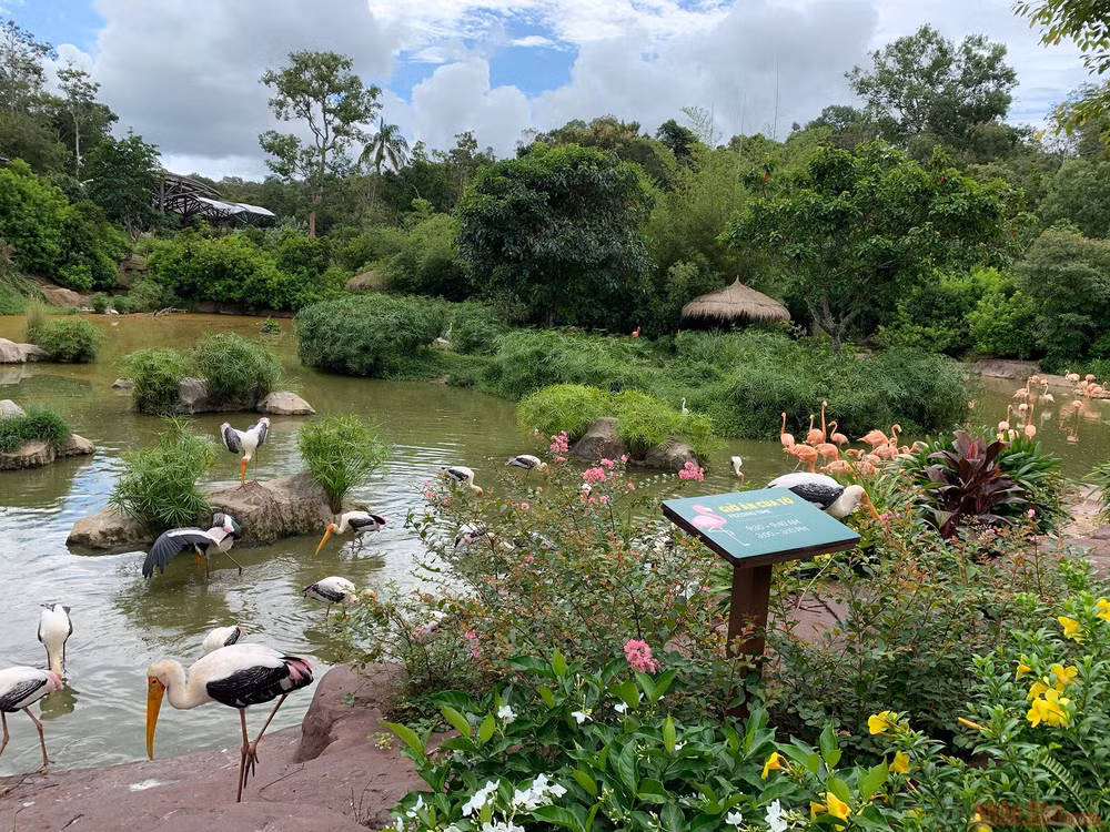 Trải nghiệm công viên động vật hoang dã Safari Phú Quốc -1