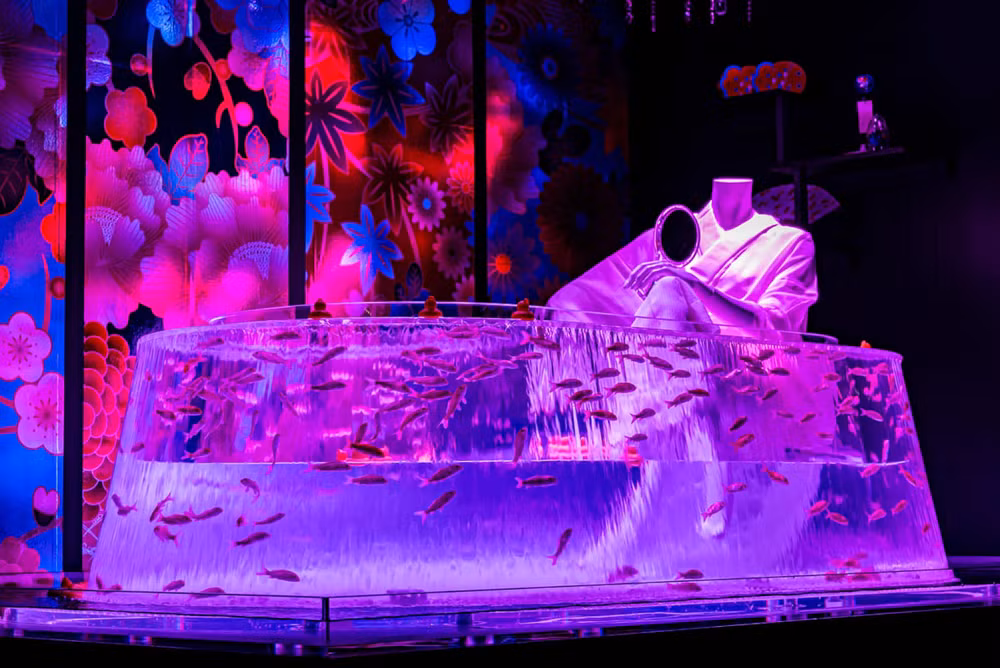 Huyền bí sắc màu Art Aquarium ở thủ đô Tokyo -1
