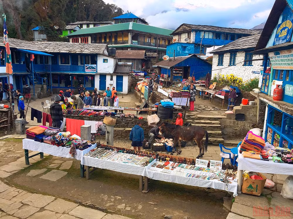 Sắc thu rực rỡ ở Nepal -2