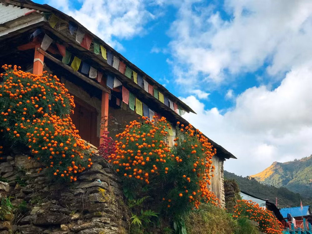 Sắc thu rực rỡ ở Nepal -0