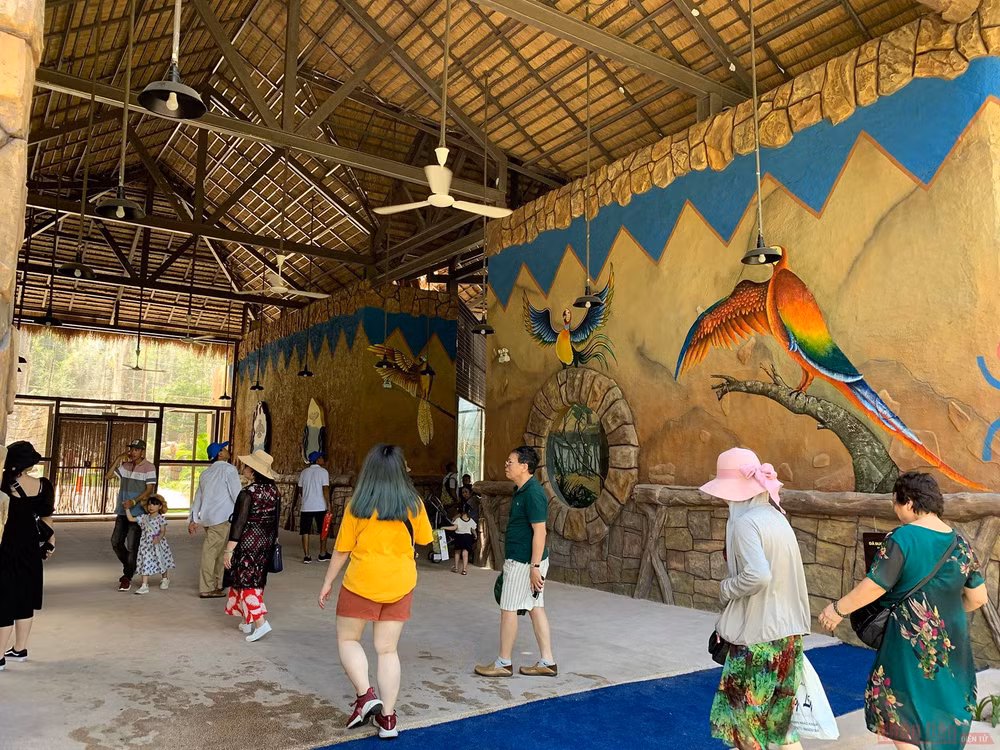 24_safari_phu_quoc-1593508327245.jpg