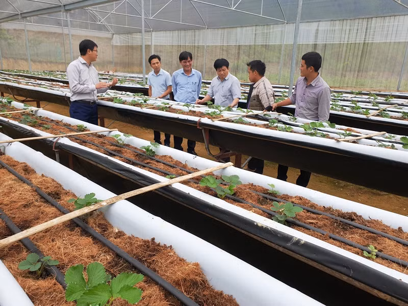 Tôi luyện đội ngũ cán bộ qua luân chuyển, điều động ở huyện Kỳ Sơn -0