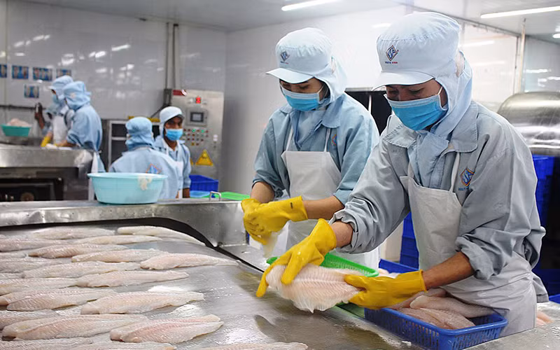 Kim ngạch xuất khẩu thủy sản năm 2021 ước đạt 8,89 tỷ USD, tăng 5,7% so với cùng kỳ năm 2020.
