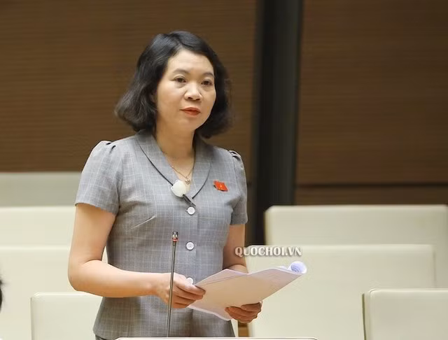 Đại biểu Mai Thị Phương Hoa (Nam Định) 