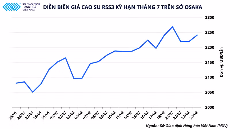 Động lực nào đưa giá cao-su tiếp tục lên ngôi vào năm 2022? -0